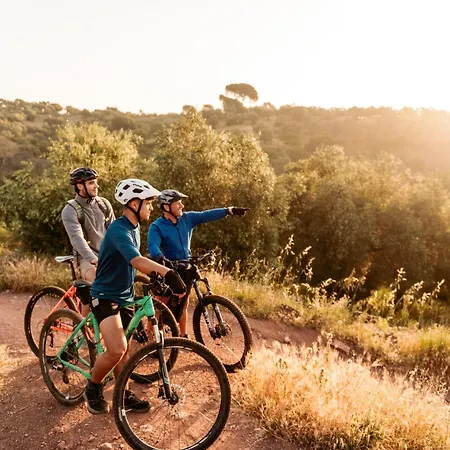 Casas De Dona Concha Mezquita *
