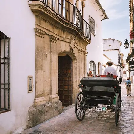 Casas De Dona Concha Mezquita קורדובה