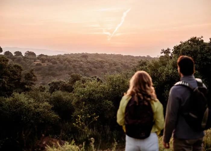 Casas De Dona Concha Mezquita Apartament