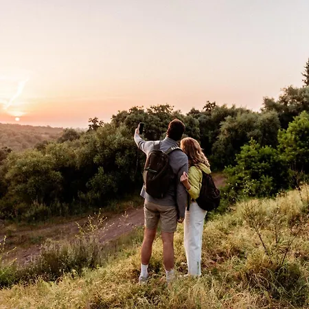 Casas De Dona Concha Mezquita Córdoba