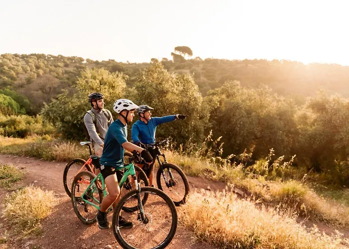 Casas De Dona Concha Mezquita *