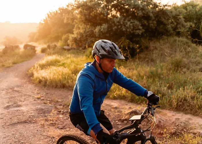 Casas De Dona Concha Mezquita